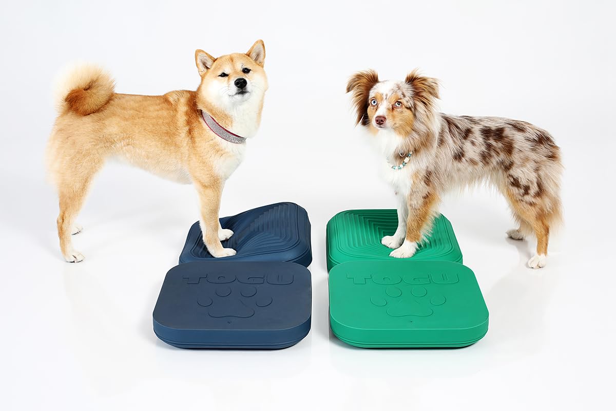 Togu Dynair® Animal Pad Misty Mountain - Hundetraining