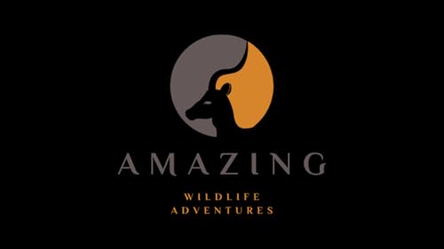 Amazing Wildlife Adventures