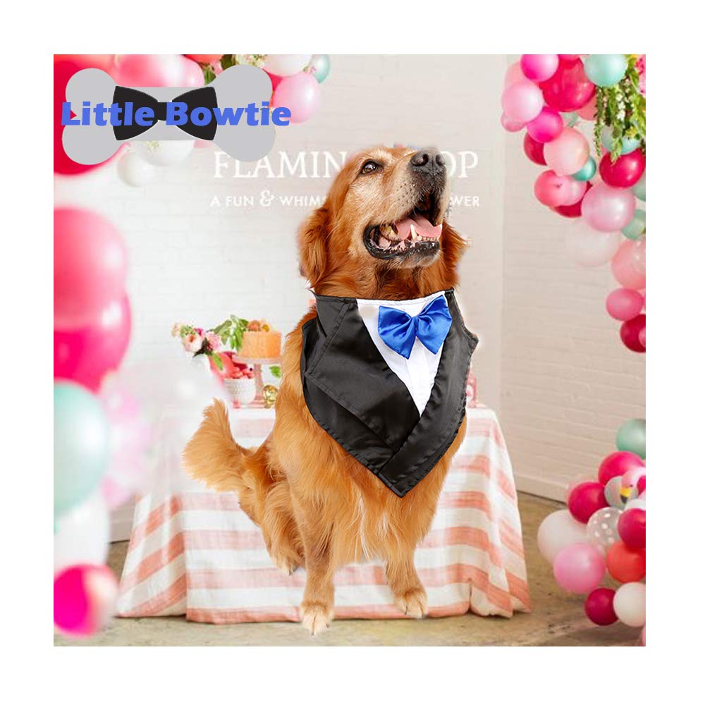 JaGely Hundebrautkostüm Set – Schleier, Halstuch & Rock Für Hunde | Weiches 3-teiliges Outfit Für Hochzeiten & Fotos | Größe M | Perfekt Für Mittelgroße Hunde