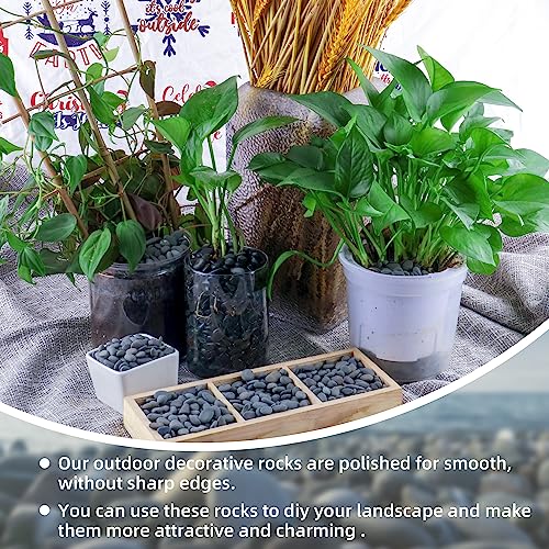 Image of 18lb Small Smooth River Rocks Pebbles for Plants & Succulents, Decorative Outdoor Landscaping Garden Rocks, Natural Mexican Beach Pebbles, Gravel for Aquarium, Fish Tanks, Vase and Yard Decor