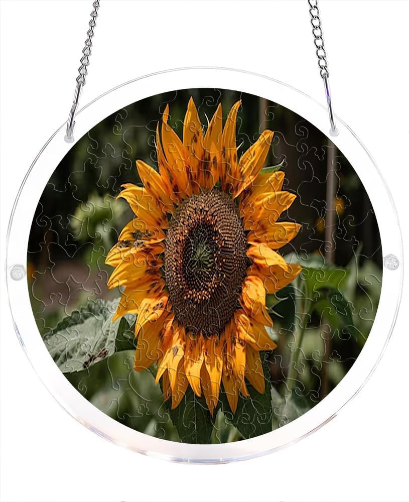 Sunflower- Acrylic Jigsaw Puzzles Suncatcher, 7.4 Inch Window Hanging Suncatcher Acrylic Puzzle, DIY Home Decor Art Gift