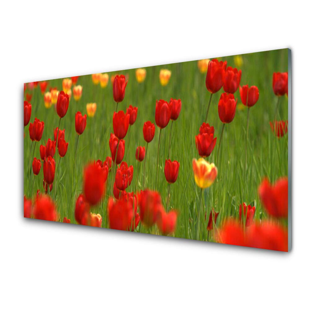 Tableau mural moderne en verre trempé anti-rayures 100x50cm Tulup nature