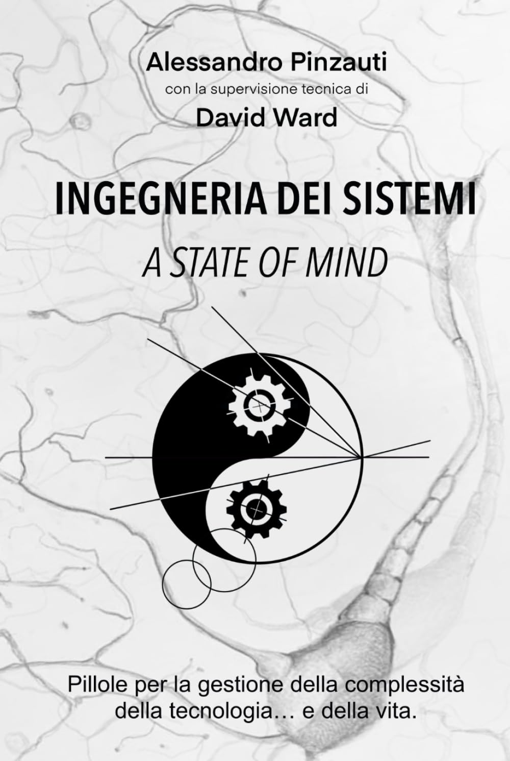 INGEGNERIA DEI SISTEMI a state of mind: Pillole per la gestione della complessità della tecnologia... e della vita