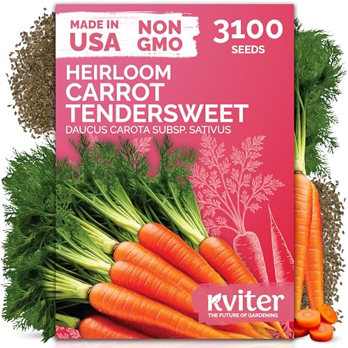 KVITER 3100 Tendersweet Carrot Seeds for Planting (Daucus carota) Non GMO Vegetable Seeds for Outdoor Garden Sweet Heirloom Carrots Carrot Seed Packets for Home Garden Beds Containers