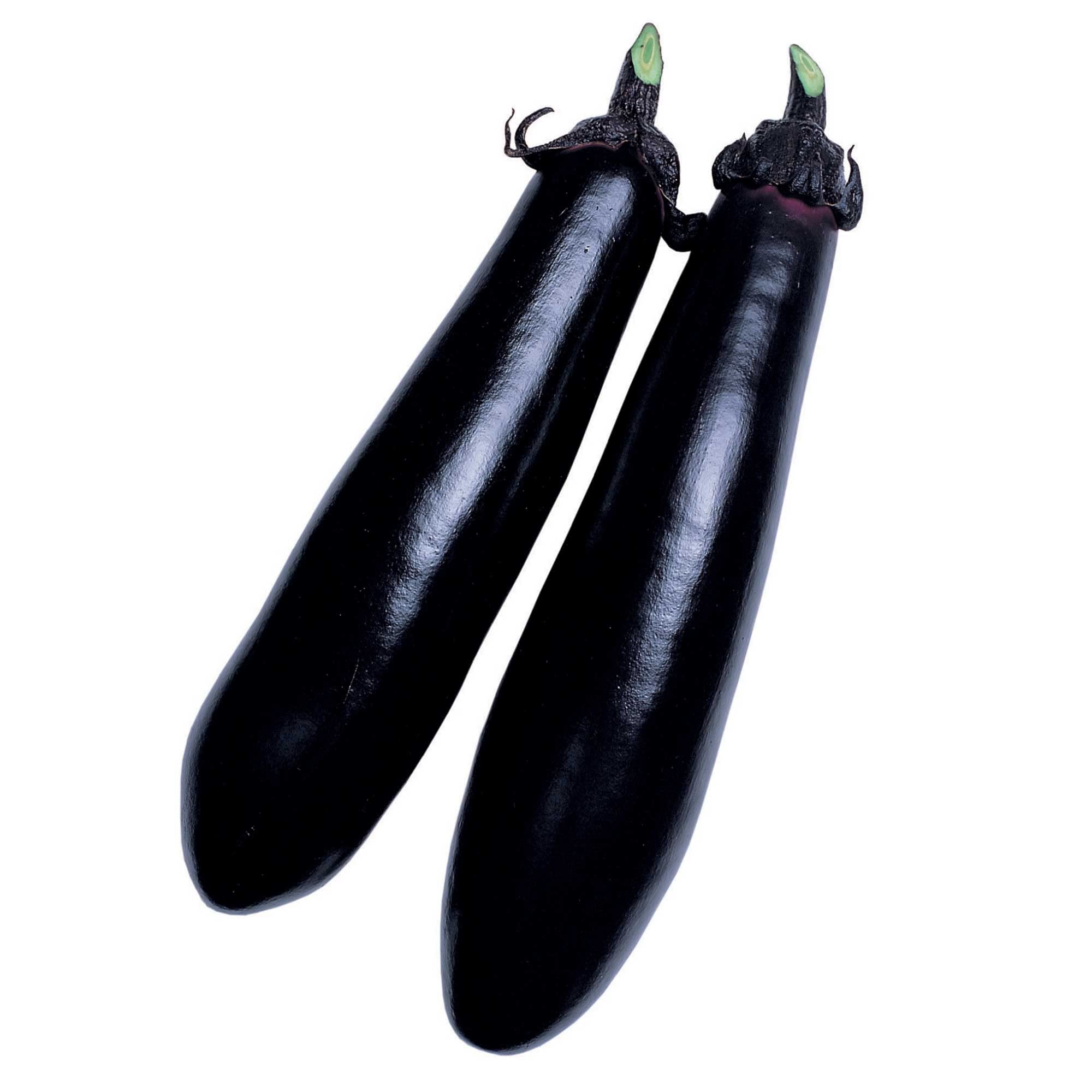 Amazon.com : Eggplant Seeds - Black Shine - Hybrid - 500 Mg