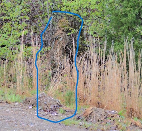 『Researching Sasquatch, Portals, and Interdimensionals - The Sasquatch Whisperer, Pt 1』のカバーアート