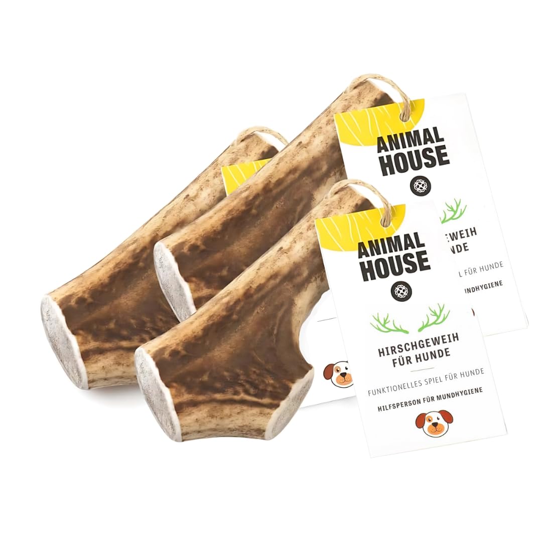 Animal House 3 Stück ganze Hirschgeweihe für Hunde, 100% natürliches Kauspielzeug, stärkt die Mundhygiene, widerstandsfähig und langlebig, in Allen Größen erhältlich (3, L)