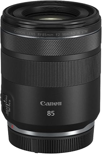 Canon RF 85mm F2 Makro is STM Porträtobjektiv Canon EOS R — nuotrauka 6