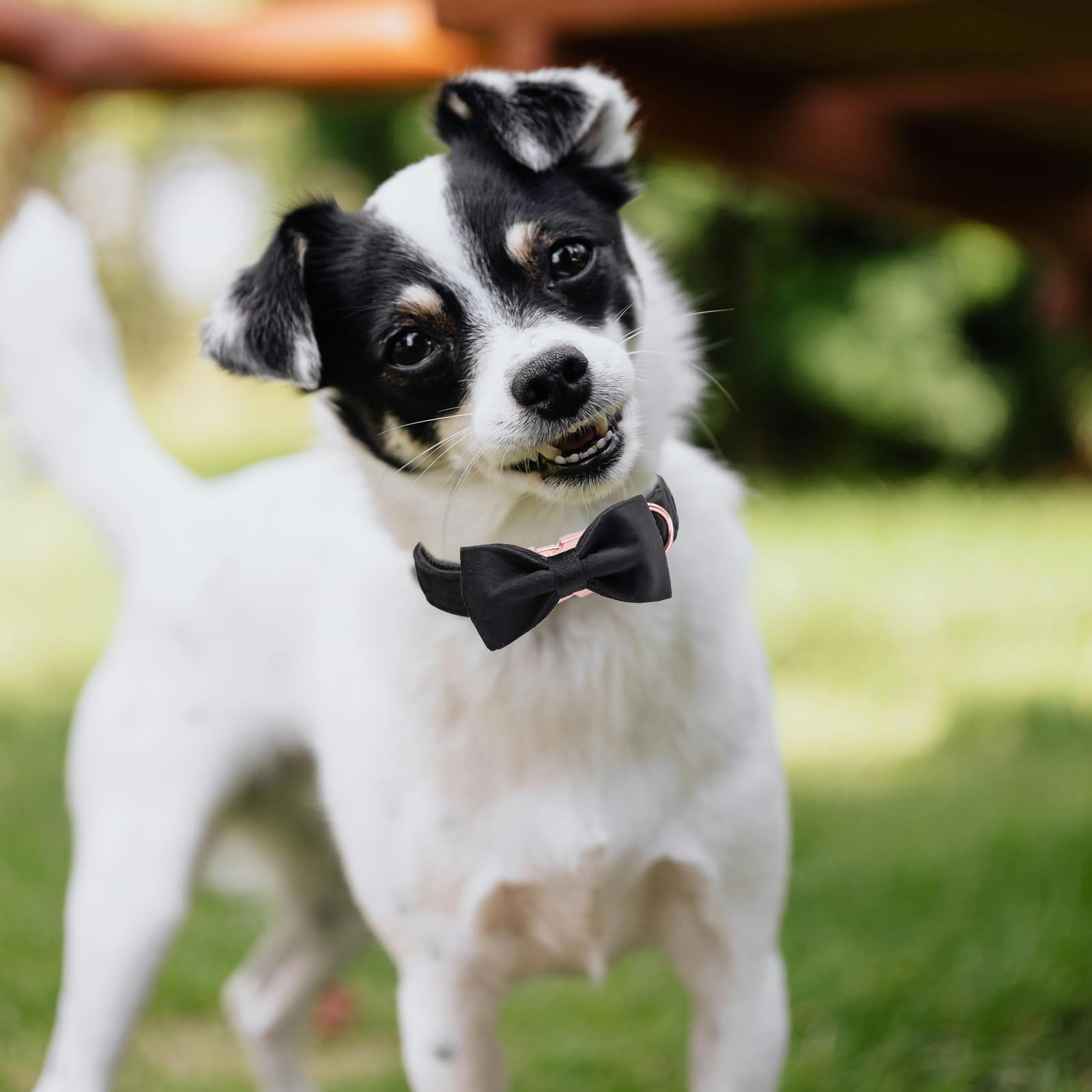 View 4
