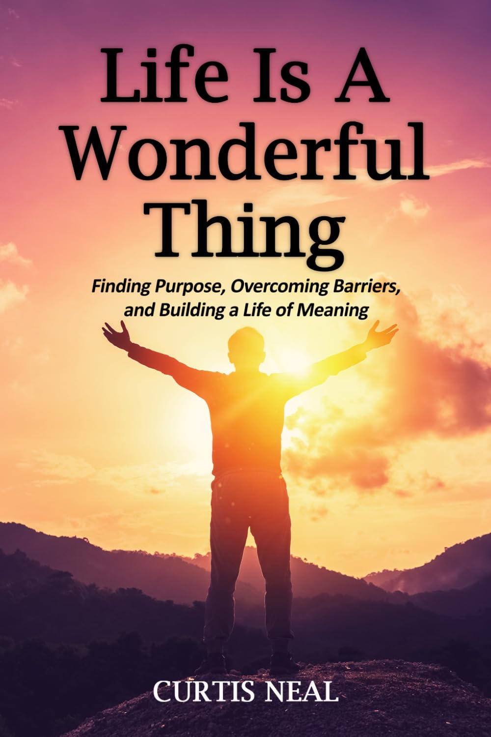 Life Is A Wonderful Thing: "Finding Purpose, Overcoming Barriers, and Building a Life of Meaning"