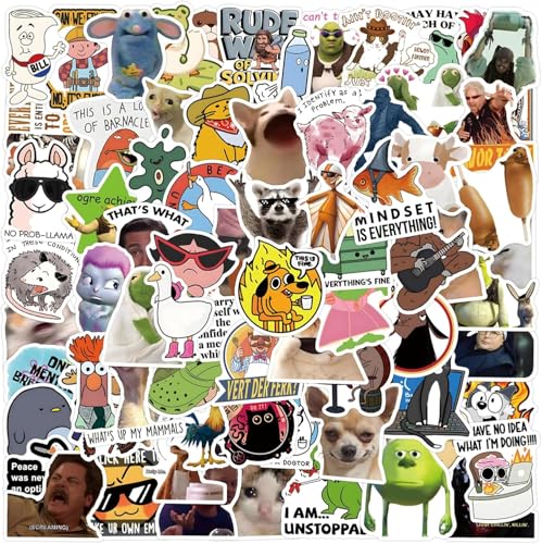 110 PCS Funny Meme Stickers, Waterproof Vinyl Laptop Stickers for Adults Teens, Funny Graffiti Stickers with No Residue Removal for Water Bottle, Phone, Journals & Skateboard