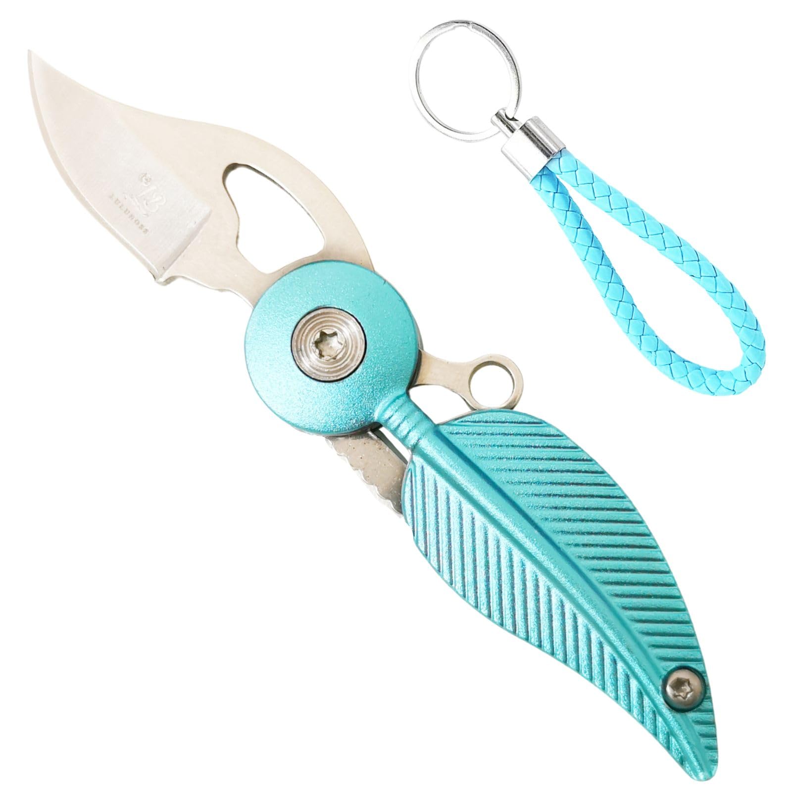 CHJIANAO Pocket Knife Womens with Chain,Small Pocket Knife,Cool Knives,Cool Gadgets,Edc Knife,Mini Pocket Knife,Cute Key Accessories(Blue)