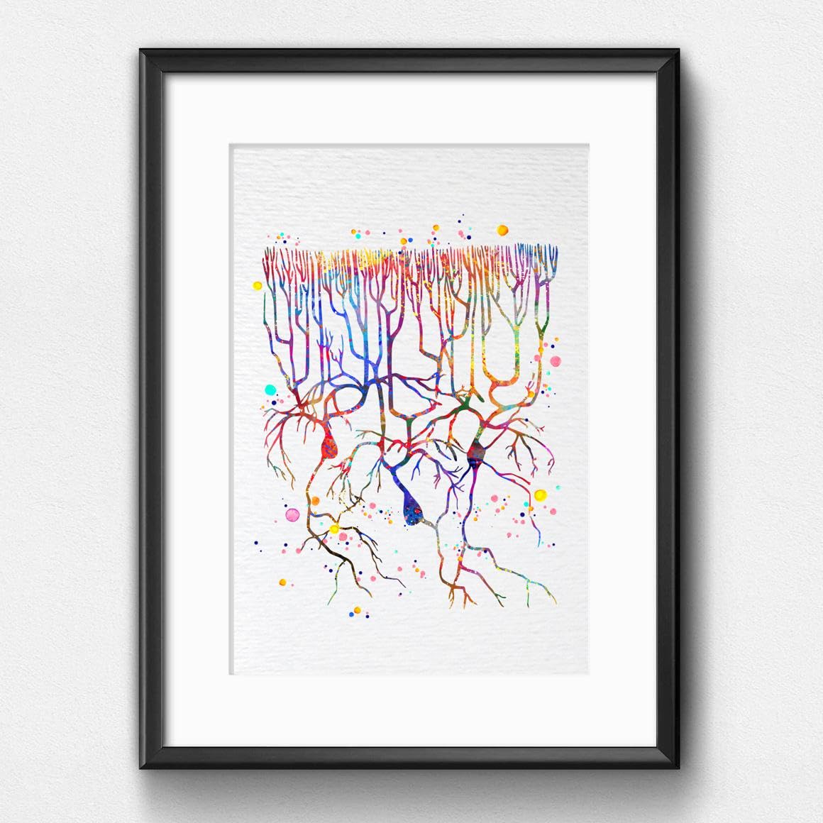 Snapklik.com : 8X10 Unframed Purkinje Neuron Watercolor Art Print ...