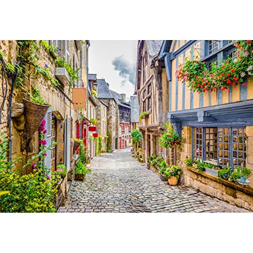 CSFOTO 3x2,5m Italien Alt Gasse Hintergrund Europäisch Alt Gebäude Weg Friedlich Stadt Feder Blüte Fotografie…