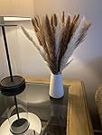 Review Image by Amazon Customer