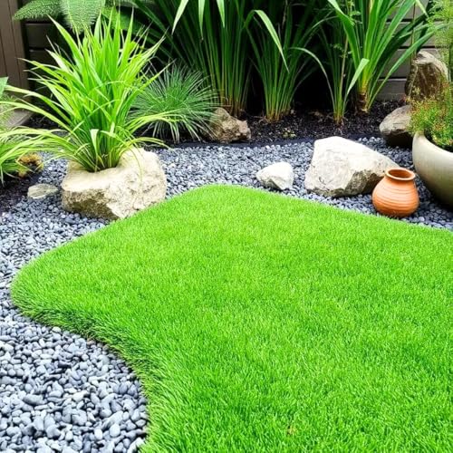 Zoysia Grass Seeds &ndash; 10,000 Pack for Backyard Garden