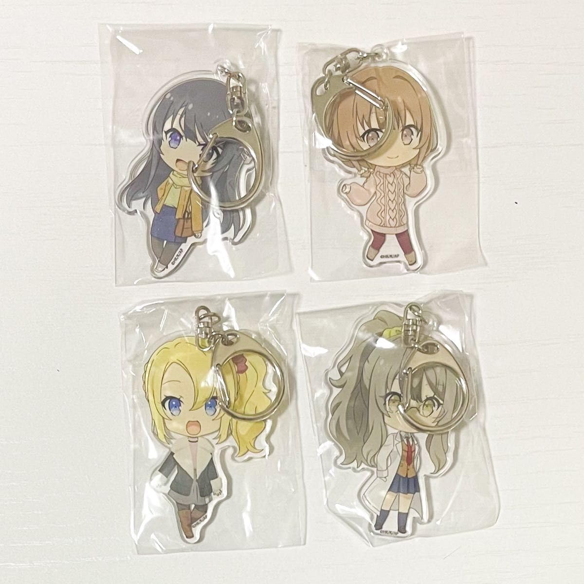 Amazon.co.jp: 青春ブタ野郎はバニーガール先輩の夢を見ない 青ブタ