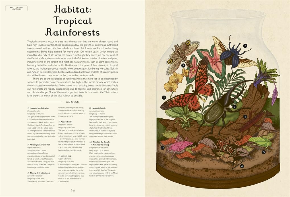 Insectarium: A lavishly illustrated guide to the world of insects in the bestselling Welcome to the Museum series
