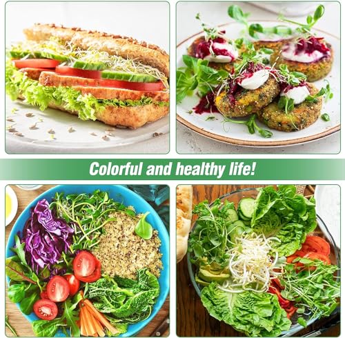 Kit de germinação de sementes de aço inoxidável, bandeja de cultivo de microgreens de 3 camadas de 1