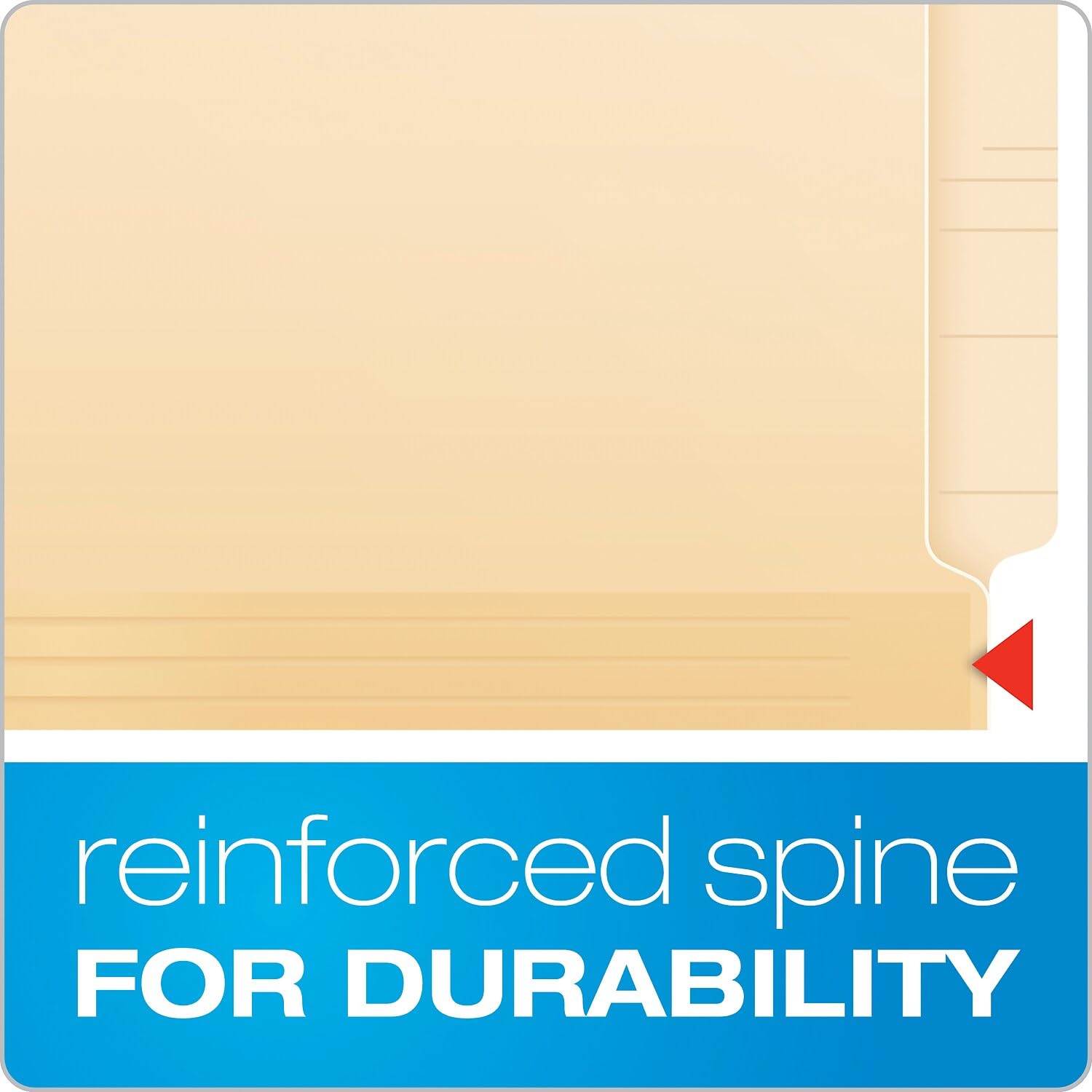 Pendaflex PFX13240 Beige Cartella