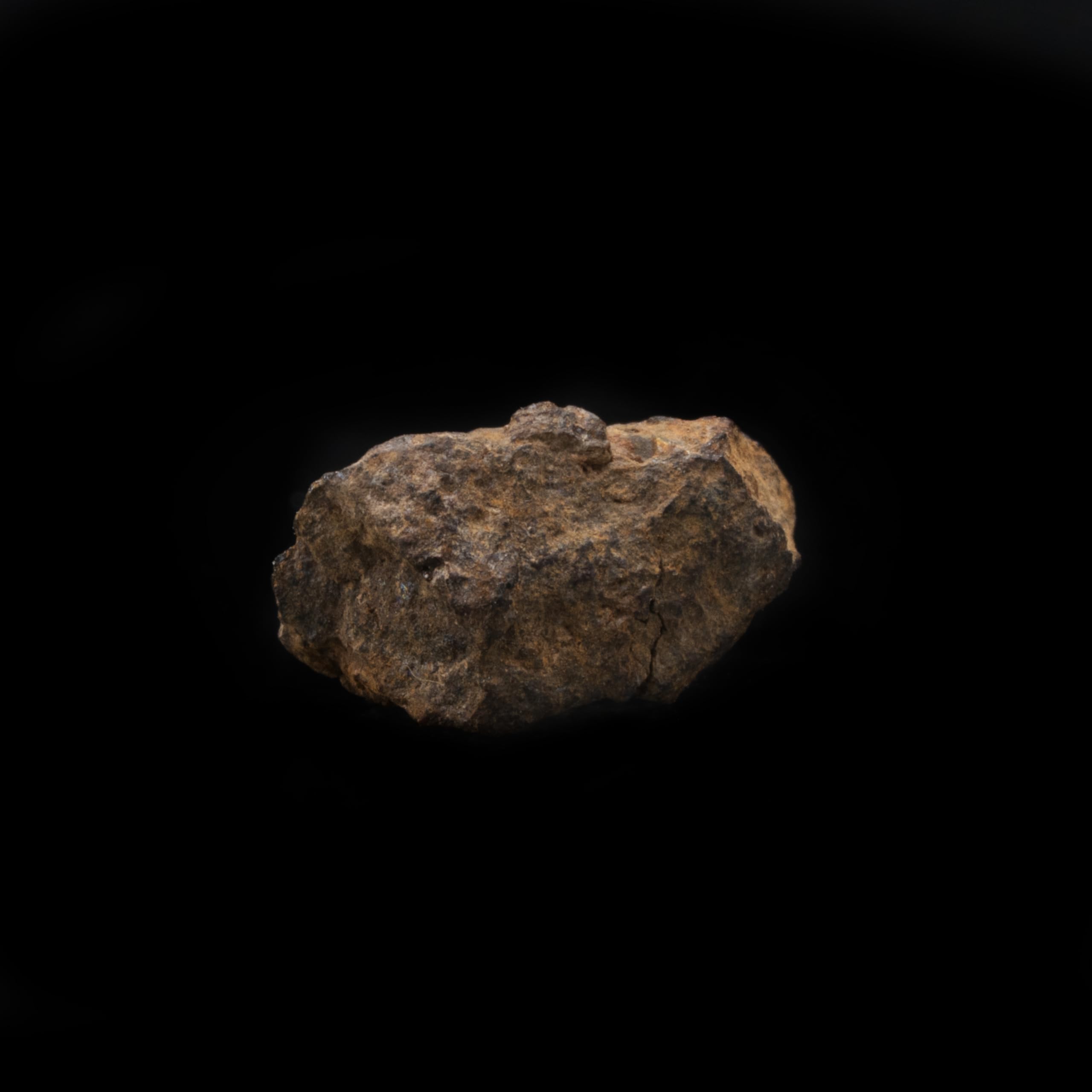 Vaca Muerta Meteorite in Collector's Box