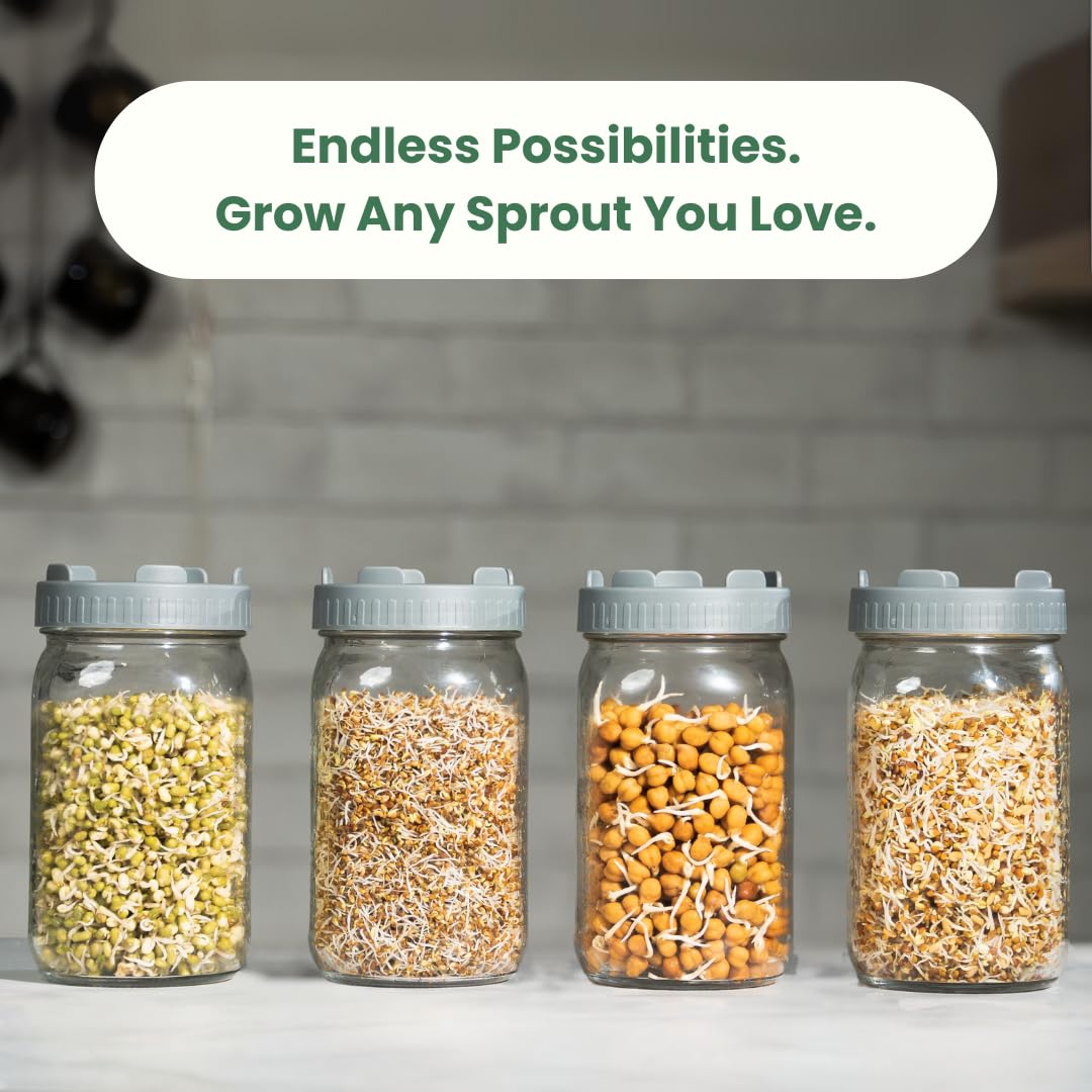 Gutbasket Sprouting Kit | Includes 2 Glass Sprout Jars (700 ml Each) with Sprouting Lids + Organic Seed Mix | Sprout Maker for Moong, Methi, Chana, Alfalfa, Radish | Sprout Jar with Guide — Amazon image 6