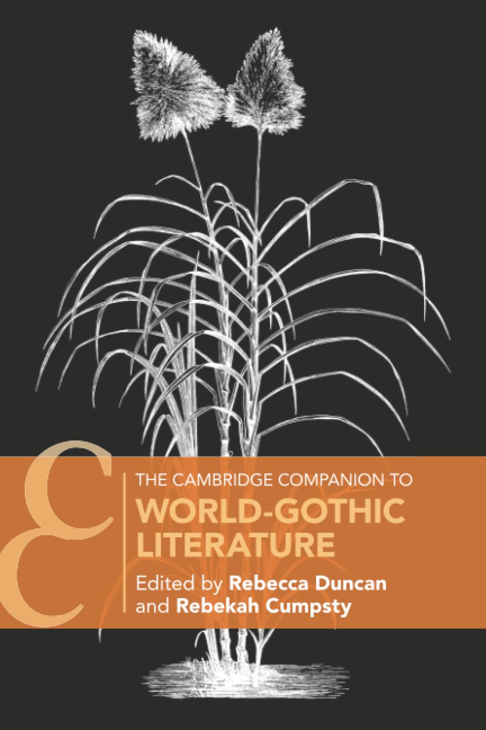 The Cambridge Companion to World-Gothic Literature (Cambridge Companions to Literature)