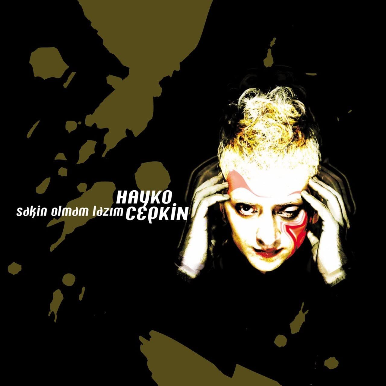GEREKSİZ ŞEYLER Hayko Cepkin Sakin Olmam Lazım Plak
