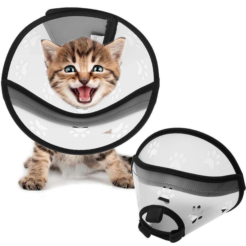 cat lampshade collar