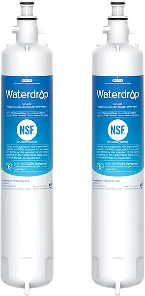 Waterdrop Replacement for GE® RPWFE®, RPWF (Built-in CHIP) Refrigerator Water Filter, Compatible with GFE28GYNFS, GFE28GELDS, PFE28KELDS, PFE28KYNFS, GFD28GELDS, PWE23KELDS, 2 Filters