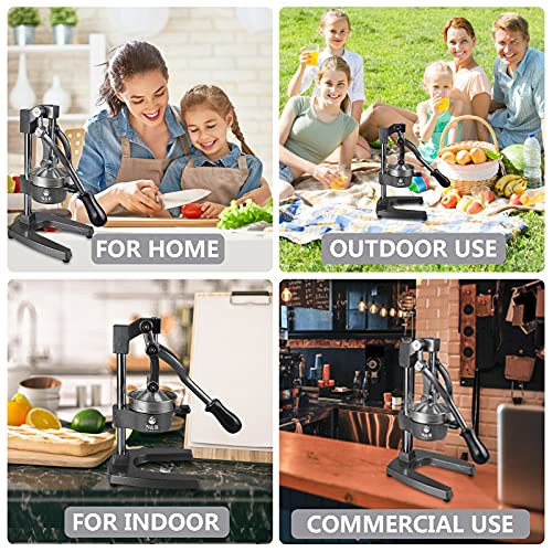 N&B Nice&Bravo Commercial Grade Manual Citrus Juicer Professional Citrus Press Orange Squeezer Heavy Duty Manual Orange Juicer Metal Lemon Squeezer Premium Quality 2021 Upgrade,Gray #TOP2