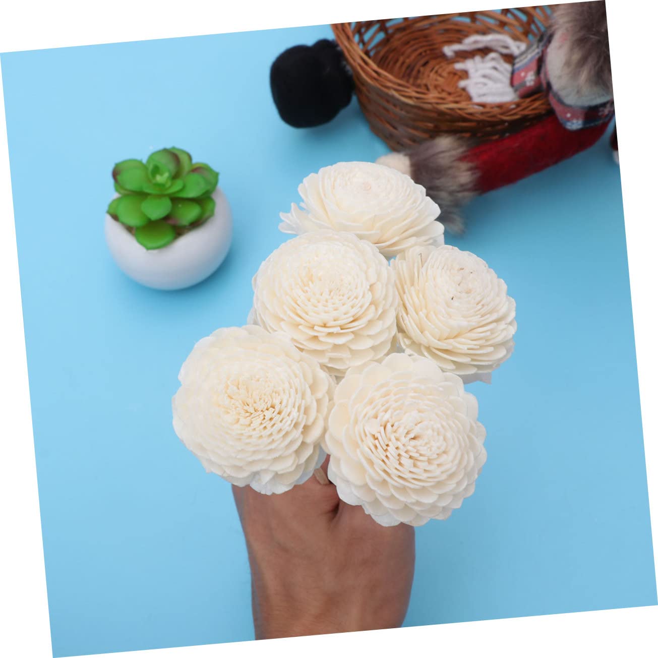 RORPOIR Flower Scent Diffuser Sticks 5 Pieces Essential Oil Diffusers Straight Aroma Diffuser Natural Flower Shape Quick Absorpti