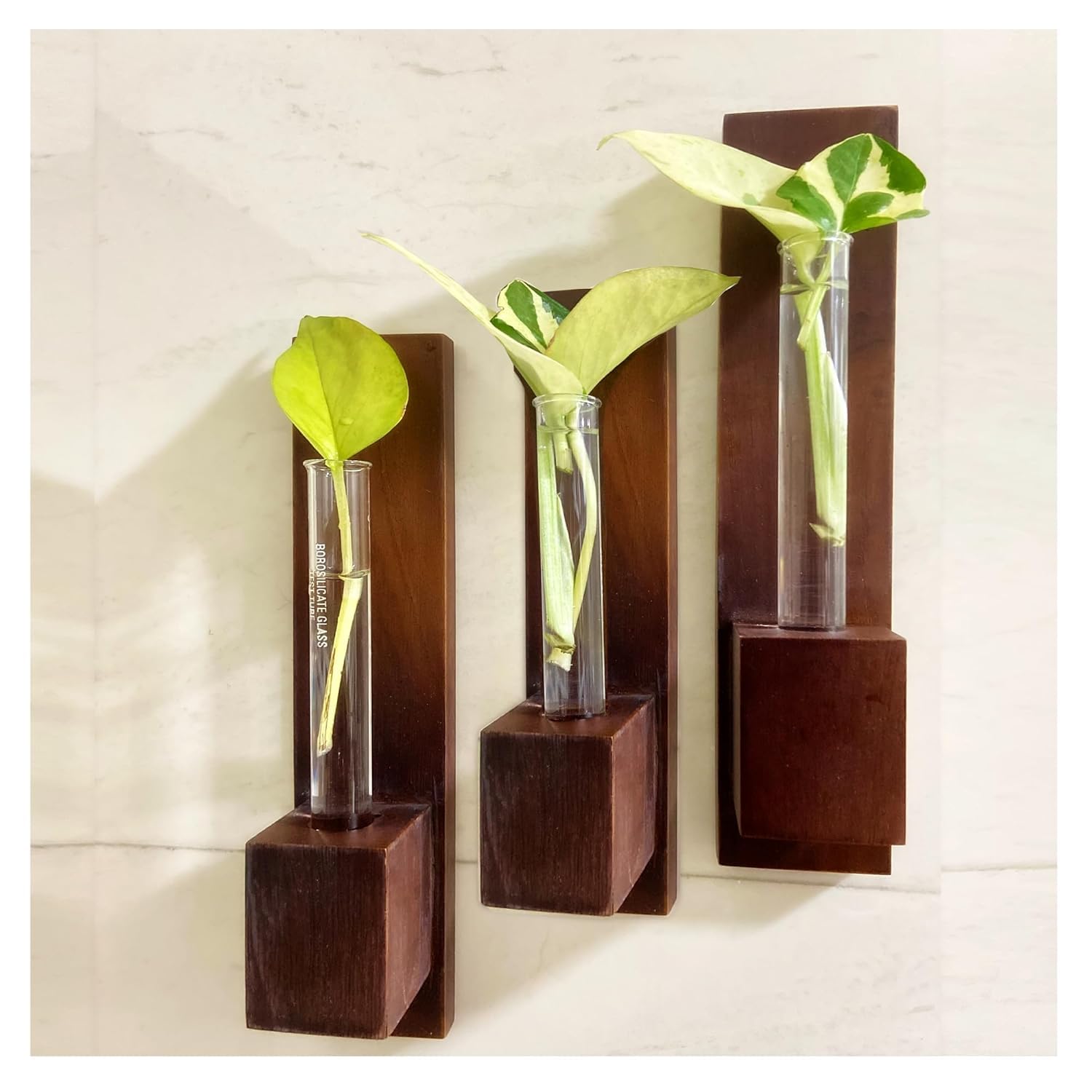 HANS Enterprises Wall Planter | Wooden Plant Holder for Living Room | Eco Friendly Planter for Home Décor | Test Tube Planter for Office | Double Sided Tape Included (Set 3)