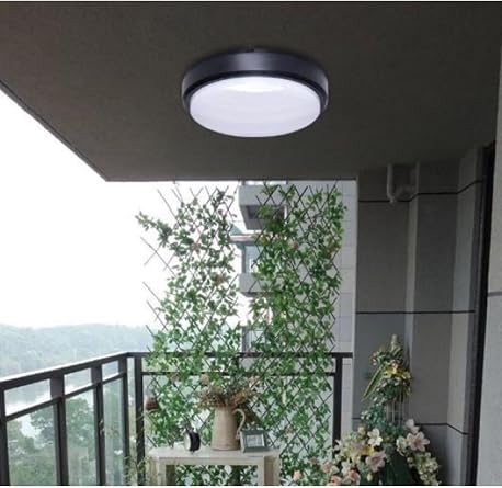 Cheap Arrived Bathroom Ceiling Lamp Artos 20w Round Black Balcony Lamp 6400k White Led Light Terrace Wall Lamp (Black)