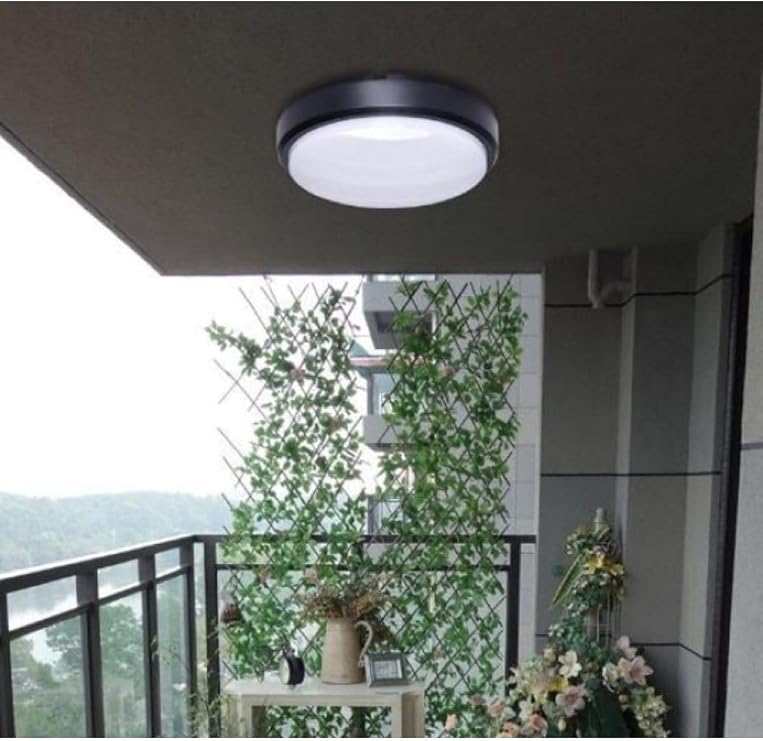 Cheap Arrived Bathroom Ceiling Lamp Artos 20w Round Black Balcony Lamp 6400k White Led Light Terrace Wall Lamp (Black)