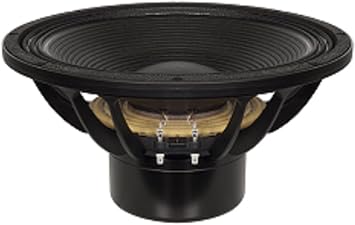 B&C Speakers 15DS115-4 LF Drivers 15-inch 4 Ohms Impedance 1600 Watts Rms 3200 Watts Max Neodymium Pro Audio Component Speaker Driver for Motorcycle Car