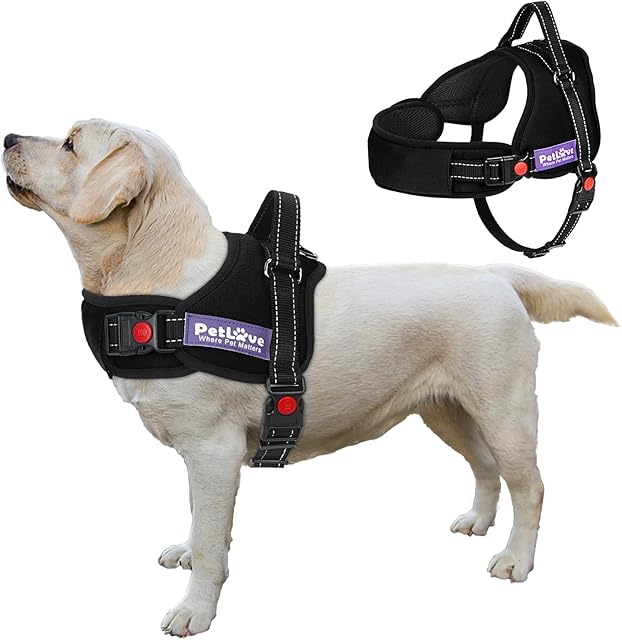 PETLOFT Dog Vest Harness, No Pull Dog Harness with Easy Control Handle Adjustable Soft Leash Padded No Choking Pet Harness for Small Medium Large Dogs (S, Black)
