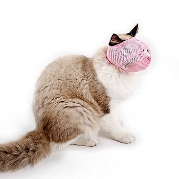 猫　毛づくろい 猫の毛づくろい | カプセルコレクション | 株式会社ターリン