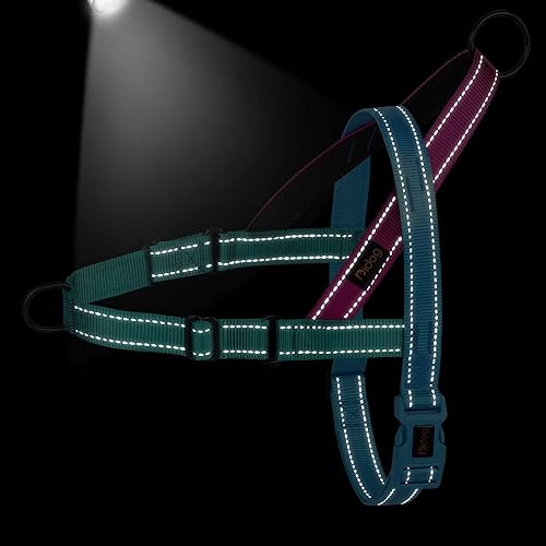 Miniatura 4 de Didog Arnés para perro sin tirones con mango acolchado suave, ajuste rápido y ligero ajustable, fácil de entrenar y caminar para perros pequeños,