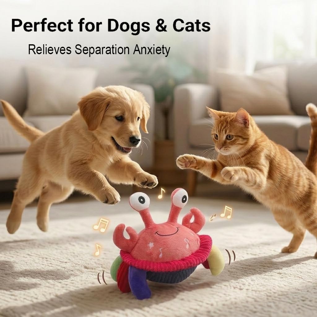Jouet interactif pour chien Crabe