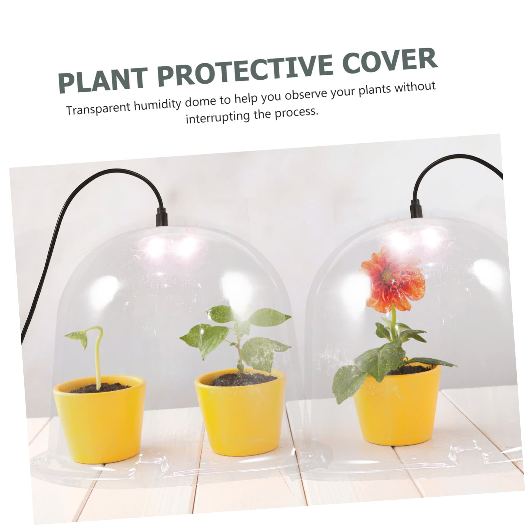 Toyvian 5 Stück Pflanzen Pet Teiliges für Pflanzenpflege Transparente Abdeckung für Kübelpflanzen Winterschutz für Kleine und Mittlere Pflanzen