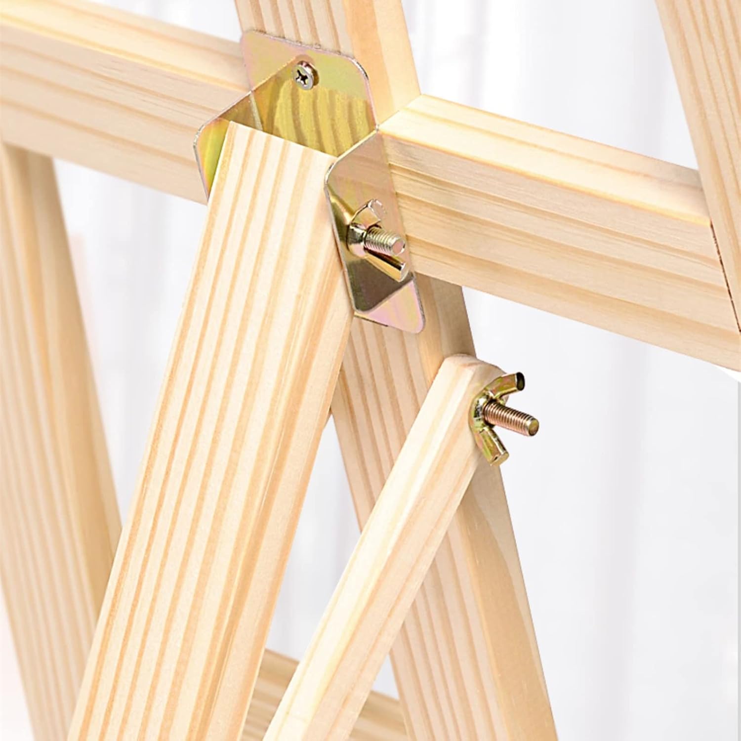 パキポディウム グラキリス 細川政己 園藝撮家 田口勇一郎