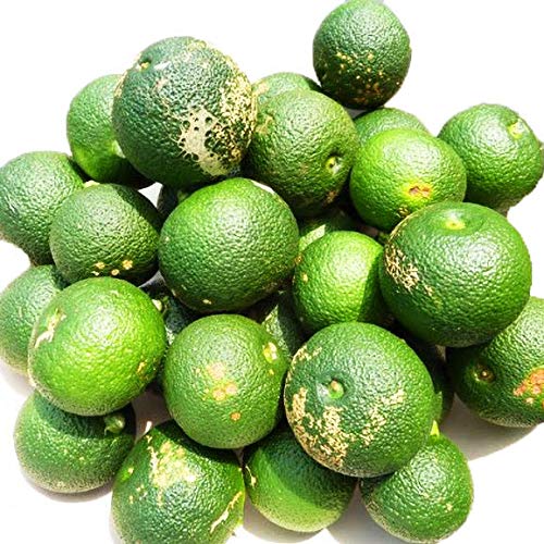 へべす 平兵衛酢 宮崎県 日向市 特産 表面に多少の傷あり [ワケアリ] (2kg)のサムネイル