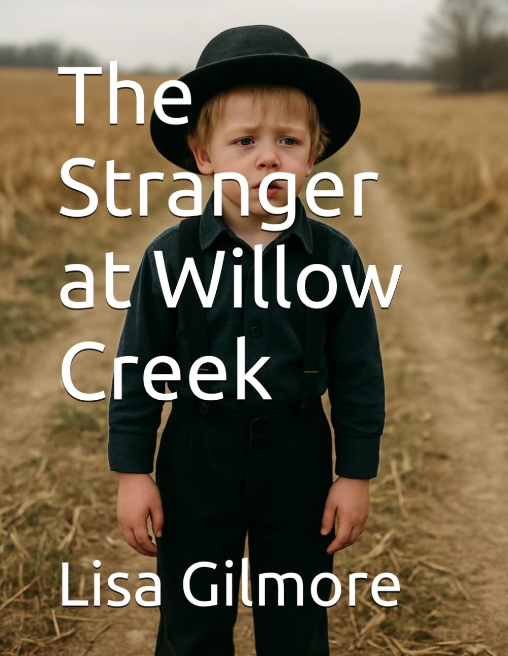 The Stranger at Willow Creek