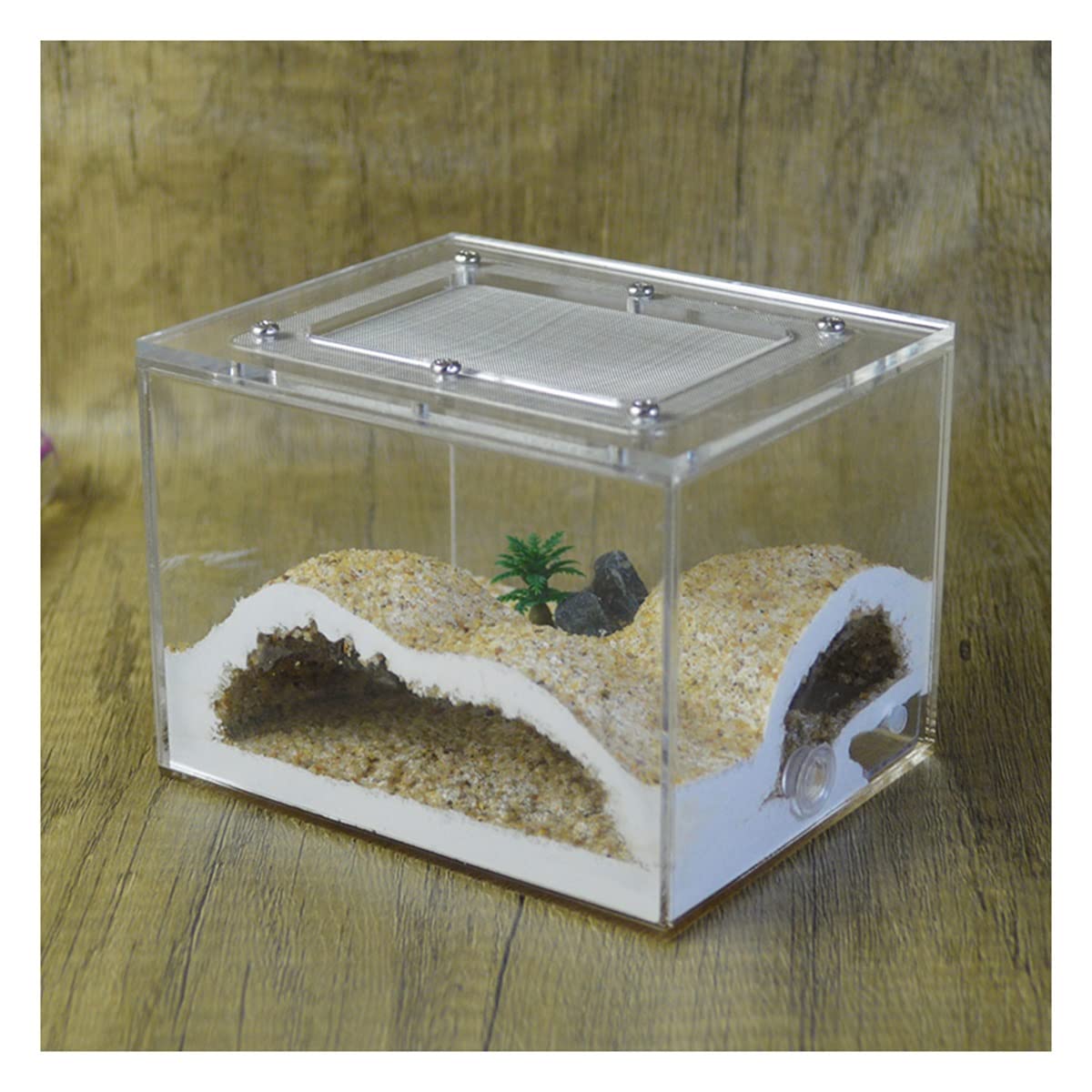 Nido Hormiga Gypsum AntHouse Ecológico para Granja Hormigas, Castillo Plástico Transparente Insecto Natural Ecología Caja Nido para Niños Estudio Educativo Juguete Educativo Observa En Vivo