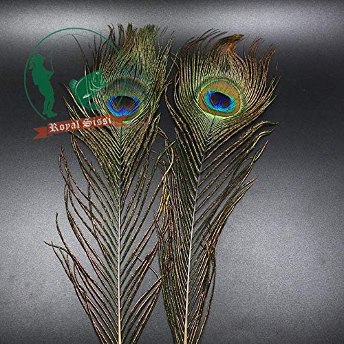 Ubersweet® Royal Sissi 10pcs Natural Peacock with Big Eye Fly Tying Long Fresh Bright Peacock herls and quills