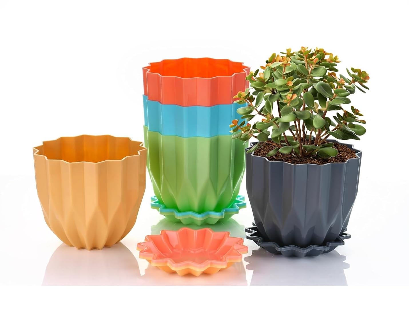 GYOU Crystal Flower Pots with Tray I Modern Plastic Pot for Home Planters, Terrace, Garden Etc. I Suitable for Home Decoration Balcony Indoor & Outdoor Gardening Plants I 6 Inch, Multicolor – Set of 5 (B0DD7XB5LH) Amazon Price History, Amazon Price Tracker