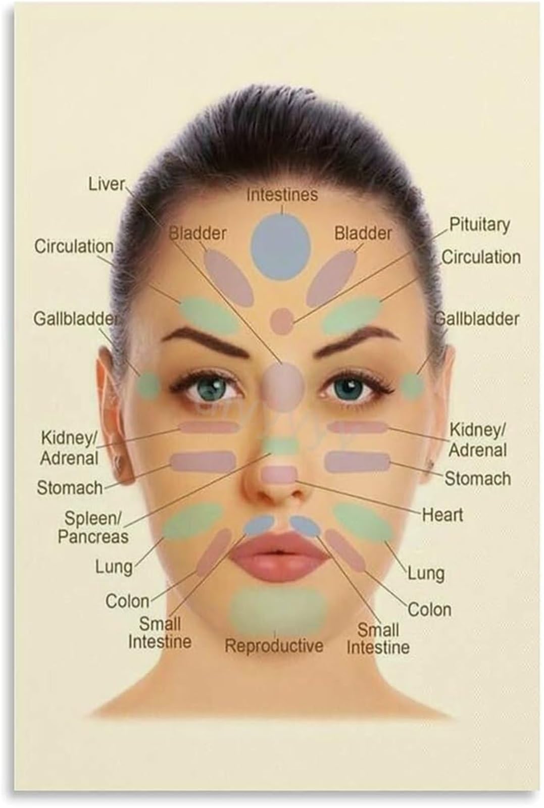 FNYUVNFAF Mapping the Face A Journey Through Zones Poster Canvas Art Print for a Contemplative Library or Arts Room Unframed,08x12inch(20x30cm)
