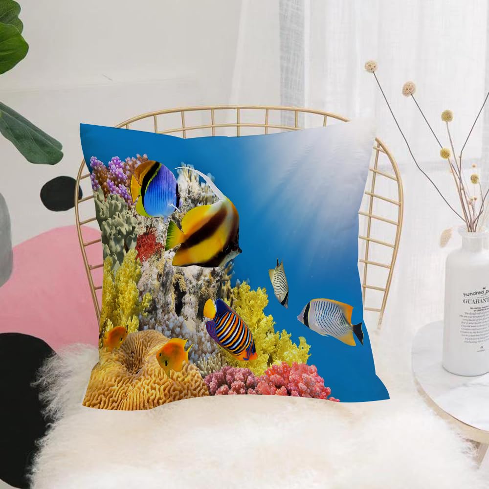 HYOSXW Cushion Cover,Throw Pillow Case Home Decorative for Living Room Bedroom Sofa Chair 16X16 Inch,Ocean,Coral Colony on a Reef Top in Red Sea Egypt Exotic Fishes Aquatic Underwa,Pillowcase 40X40cm