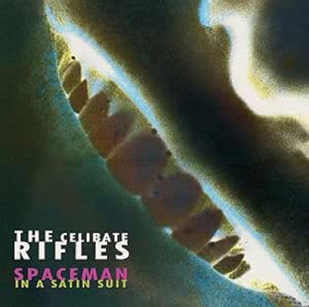 Spaceman In A Satin Suit [VINYL]